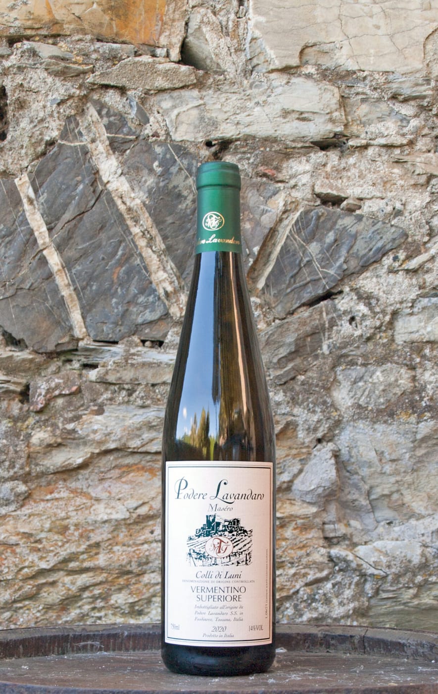 Vermentino Superiore — Bianco secco